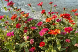 一起修炼｜每日学习一篇《道德经》第六章图片