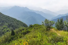 蓝田不到一小时上去的小山，有草甸有芦荡有重峦有神仙，适合溜腿图片
