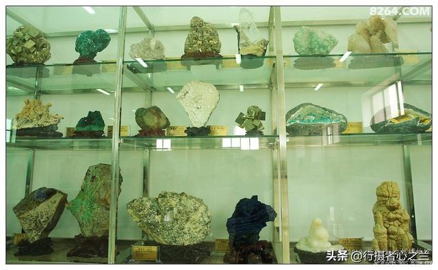 山东行游影记（31）—平邑天宇自然博物馆（六）