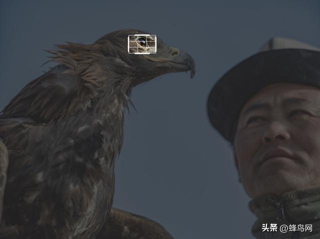 南疆寻秋--富士GFX100 II刻画南疆的雪山、沙漠与胡杨