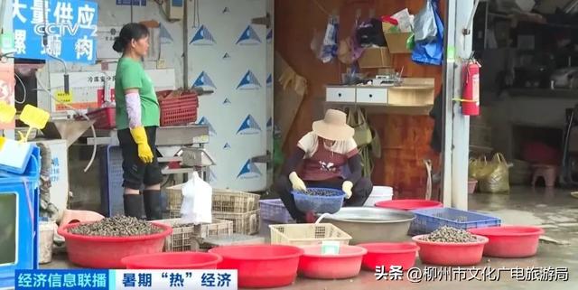 龙城今夏变“顶流”！柳州暑期“热力值”爆表