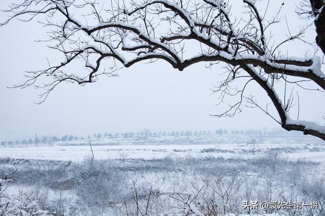 “冷不冷，就看冬月初一”，今日冬月初一，2026年春节会很冷吗？