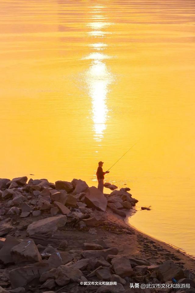 沙漠踏雪，只在武汉，最佳观赏期到了！