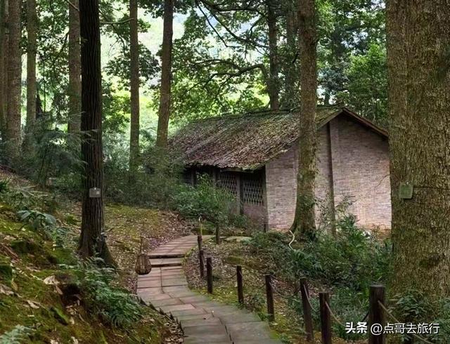 成都邛崃被严重低估的徒步路线，全部免费，未来将爆火，魅力十足
