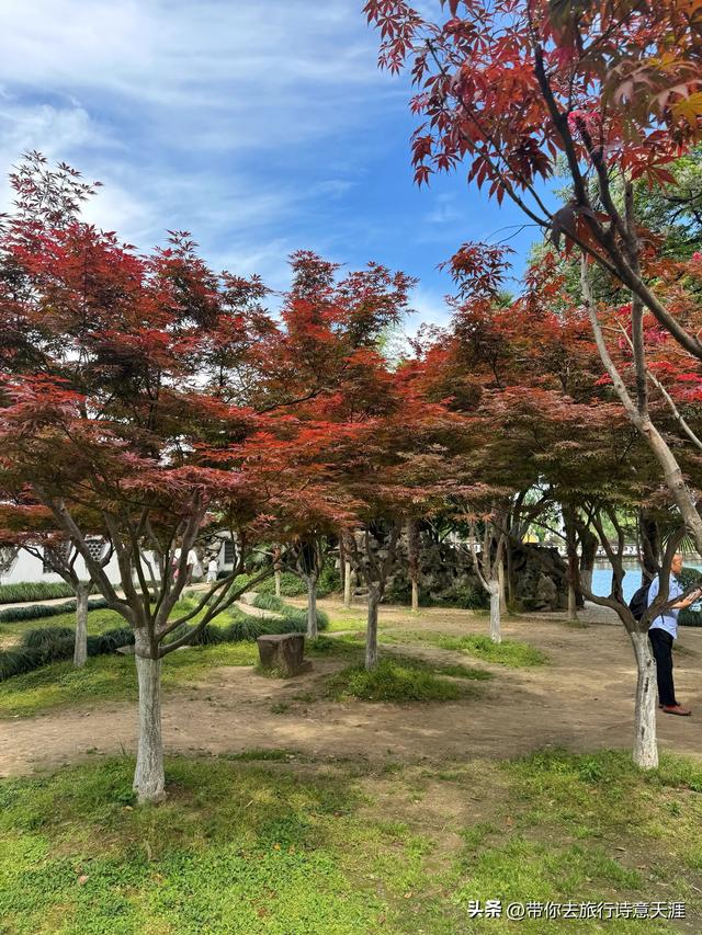 绍兴东湖，宛如巧夺天工的山水大盆景