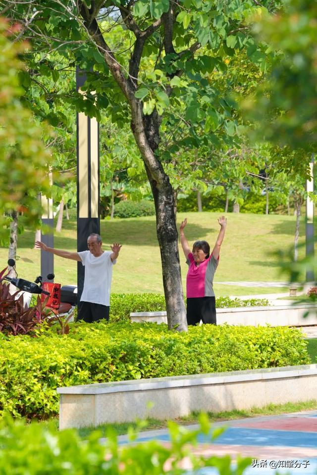 逃离城市热浪！东莞这个秘密花园藏不住了