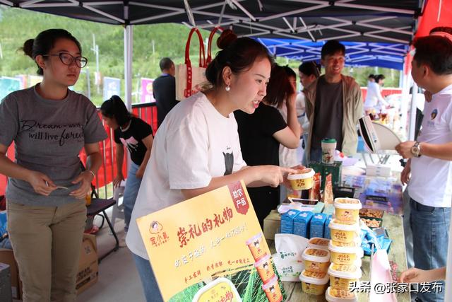 21℃清凉赋能！张家口解锁京津冀夏日避暑消费“新姿势”