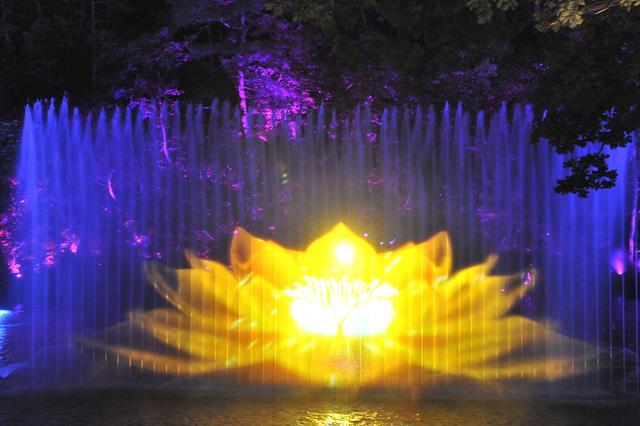 “好运莲莲 千山奇妙夜”水幕光影夜游璀璨启幕