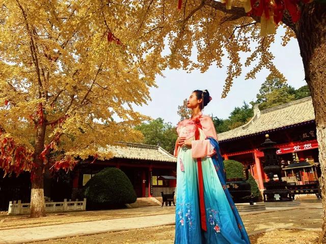 错过了？还有！石岛赏银杏真的有“后悔药”