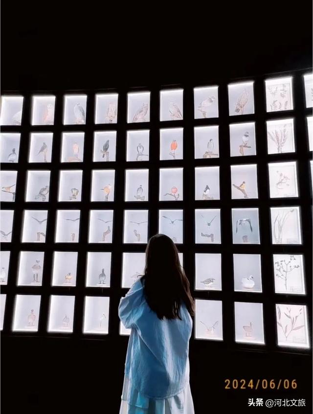 漫游唐山 | 曹妃甸城市馆打卡攻略