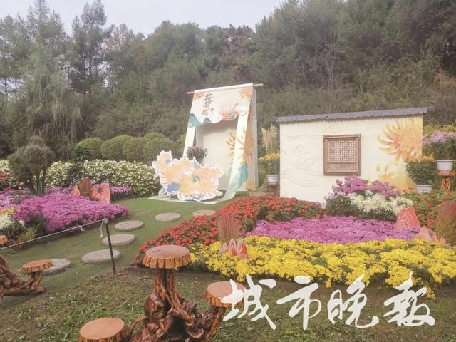 这个“十一”去哪儿玩 ？长春各大公园游玩攻略请收好！