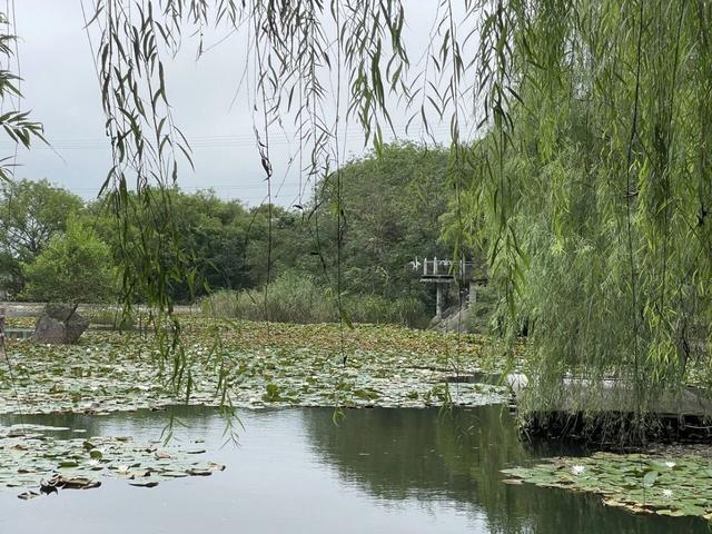 骑游滁州西神山寺森林公园花山风景线
