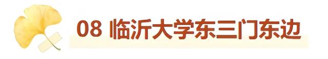 最适合拍银杏的地方！ 临沂十个0元打卡点，抓住今年最后的金色风暴！