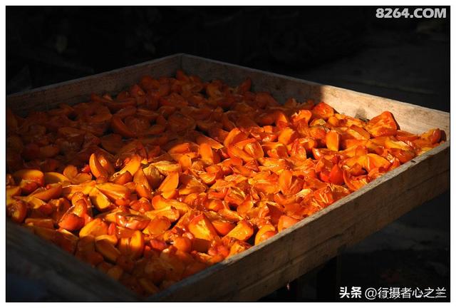 山东行游影记（194）—青州仰天山柿子沟（二）