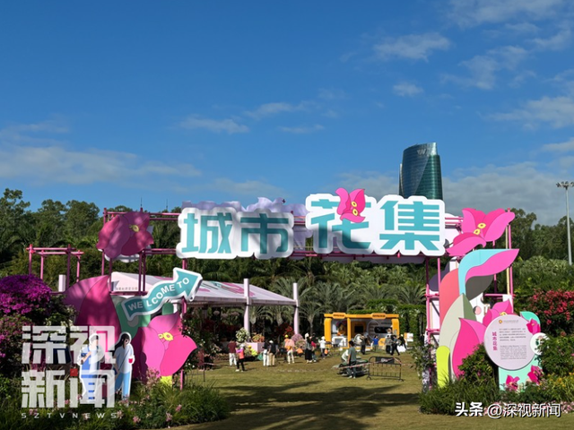 簕杜鹃花海最佳观赏期，这份“秋日限定”浪漫请收下