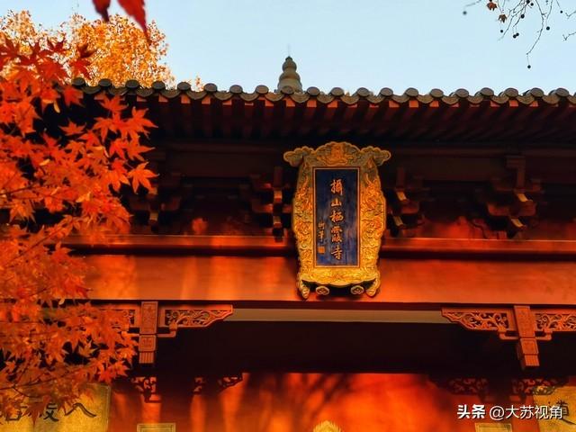 南京栖霞山拿下全国金奖！就凭“一杯禅茶”，秋天又出了新玩法