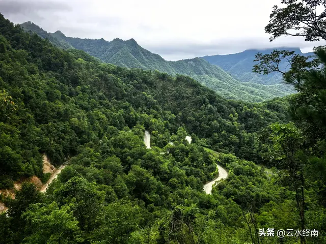 美不美？从“吐一路”到最美乡村路，看4000年银杏，探2000年栈道