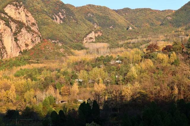 不到西坡，怎知秋色如许？