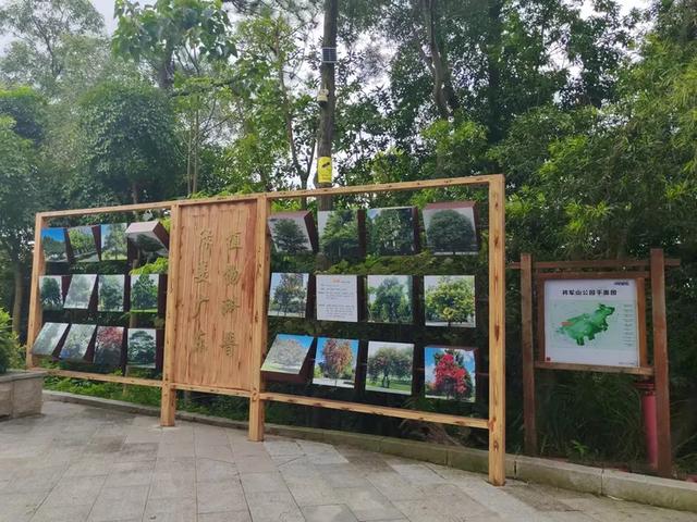 曾腾芳：在珠海登将军山