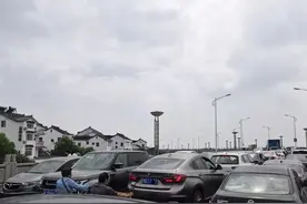 必看！周末来苏州吴中采枇杷！图片