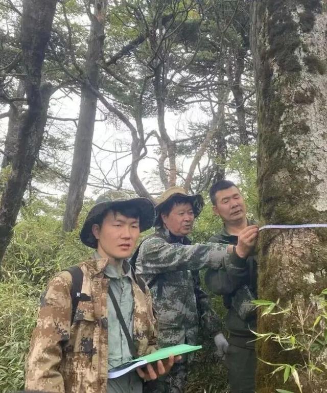 “探秘梵净山”系列主题讲解——我是护林员