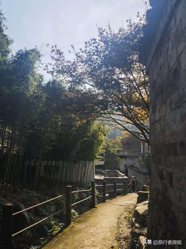 徒步奉化大雷山，古村、古道、梯田、秋景全部包揽