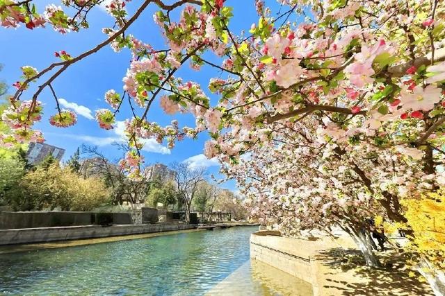 北京元大都城垣遗址公园 海棠花溪