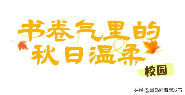 走不出这画了，我已被西海岸的秋景迷倒 🥹