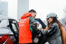 宠物可以自己“坐车”了？滴滴快送宠物专送在7城开启服务图片