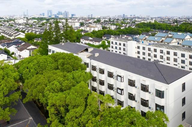 金螳螂 | 城市更新三城记