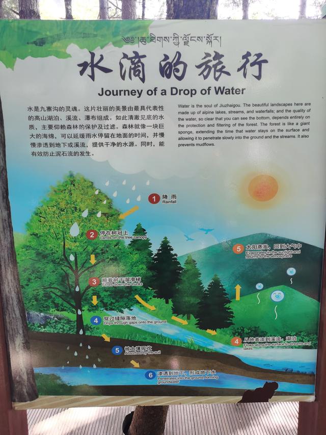 黄龙、九寨、都江堰随记Day3九寨归来不看水