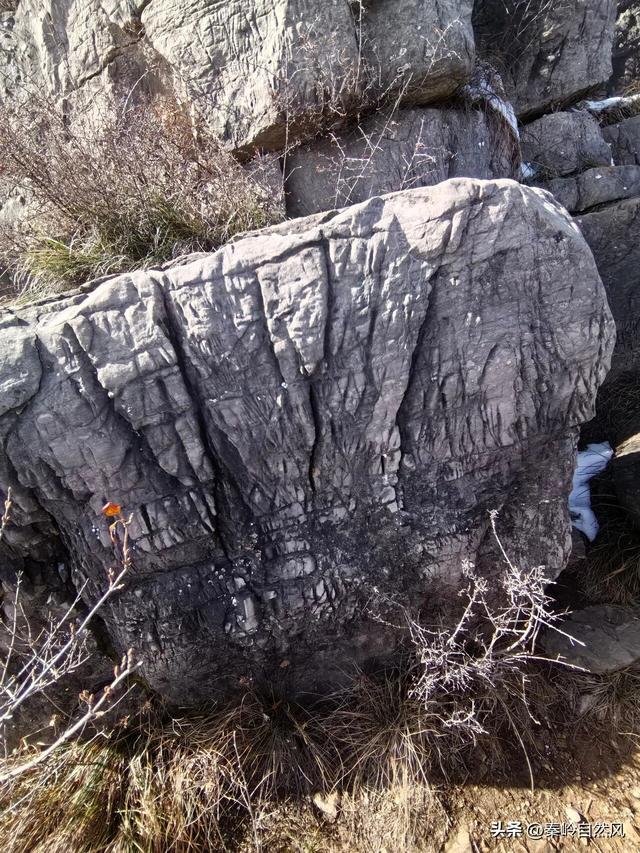 雪后初霁登顶嵯峨山，走荒野雪原，看千年悟空塔，感受历史的烟云