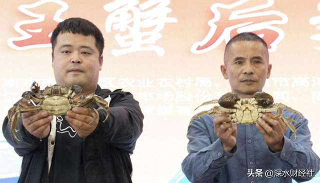 读城|金陵南望，高淳不仅仅是“后花园”