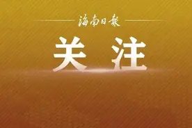 买家电、手机等享换新补贴！海南确定首批16家线上平台→图片