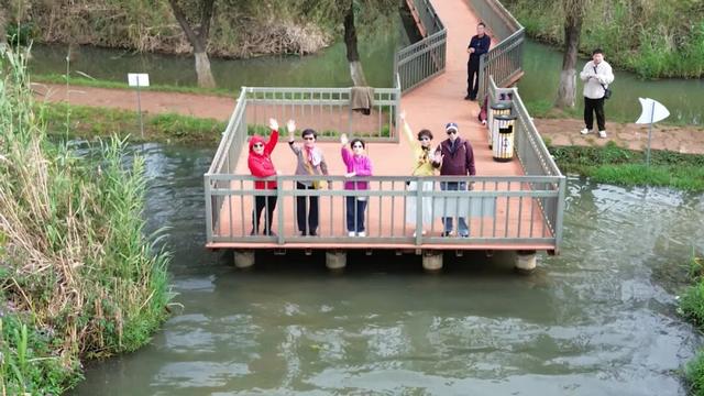 一下飞机，上海阿姨们就被昆明暖到了，除了气候更让她们欣喜的是......