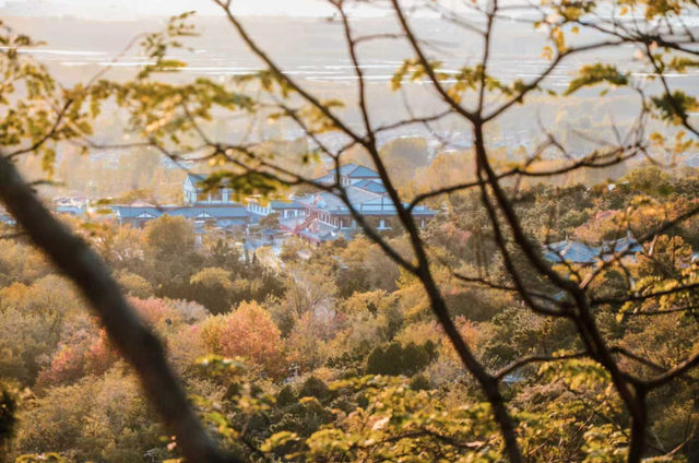 山景正宜人！青岛这里的山，已美到Next level