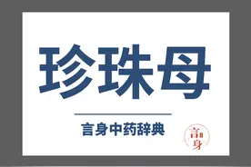 珍珠母（平抑肝阳药）图片
