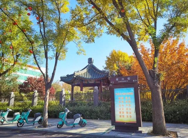 这个季节总要去趟正定，去邂逅那迷人的古建红和金秋黄！