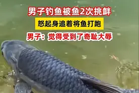 奇耻大辱！河北：男子钓鱼遭遇大鱼2次挑衅，怒起身将其打跑！图片