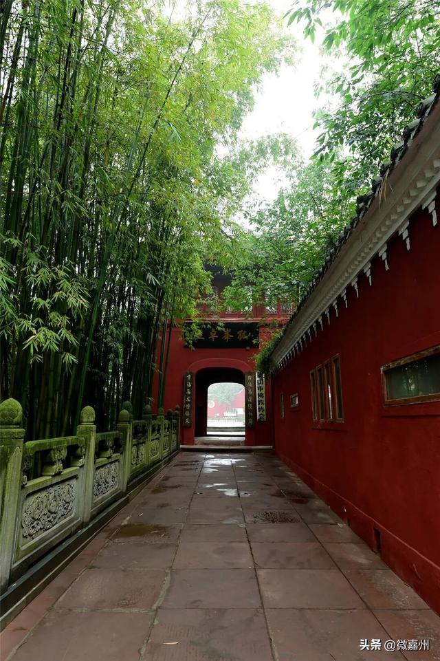 给生活充充电，与大佛共赏一山秋色