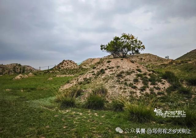 兰州汪家湾墓群:毗邻明长城,封土下已被挖成悬崖未见棺椁