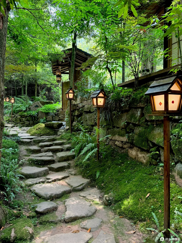 成都6天5晚吃住行玩避坑全攻略