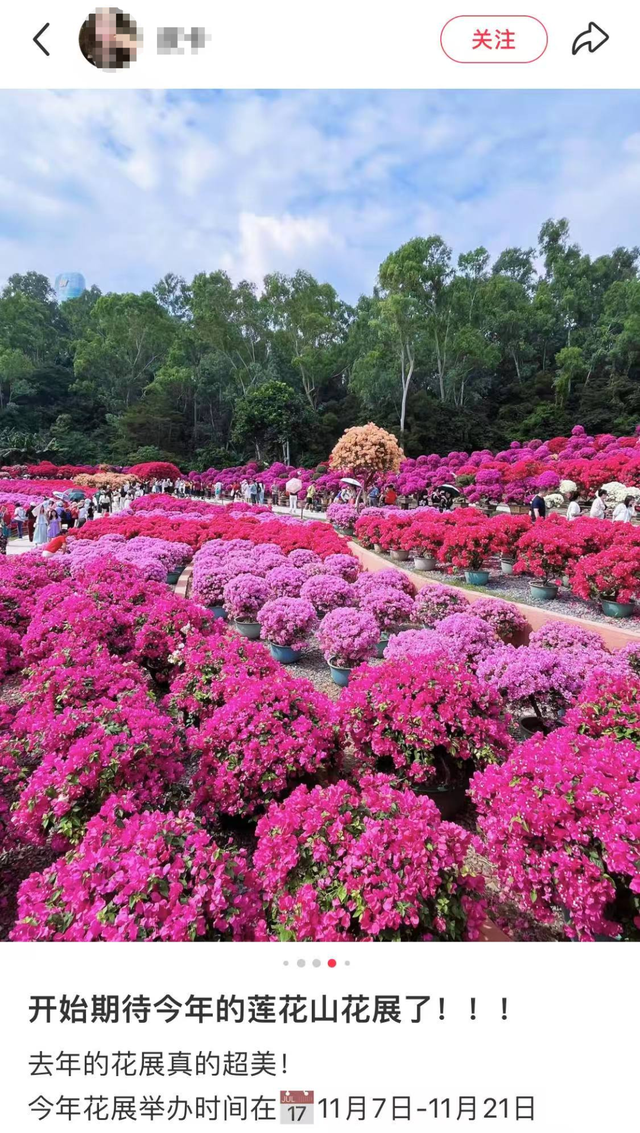 这周五，莲花山要热闹起来了！！