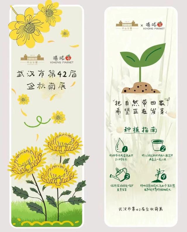 来汉口 逛江汉 | 已开幕，持续一个月！金秋菊展赏玩攻略来了