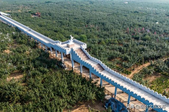 【乐游烟台】逛遍烟台，我最喜欢的慢节奏小城出现了→
