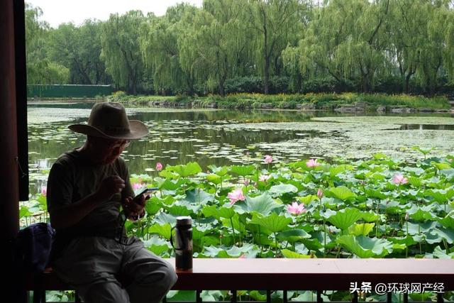荷香入画 耕织相传——在夏日的颐和园，听见荷花盛开