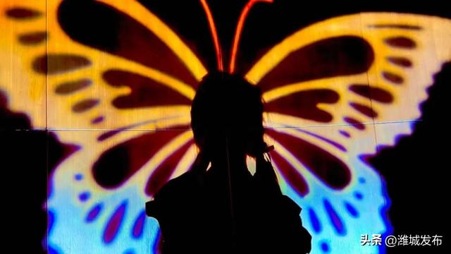 潍城惊现「蝴蝶秘境」🦋 7月26日起，等你来“蝶”变！