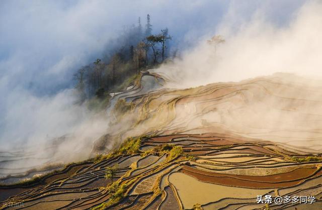 哀牢山的哈尼山寨：立秋了，梯田、歌声、泥巴仗里藏着最野的诗意