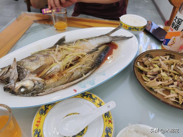 携宠旅游第二天