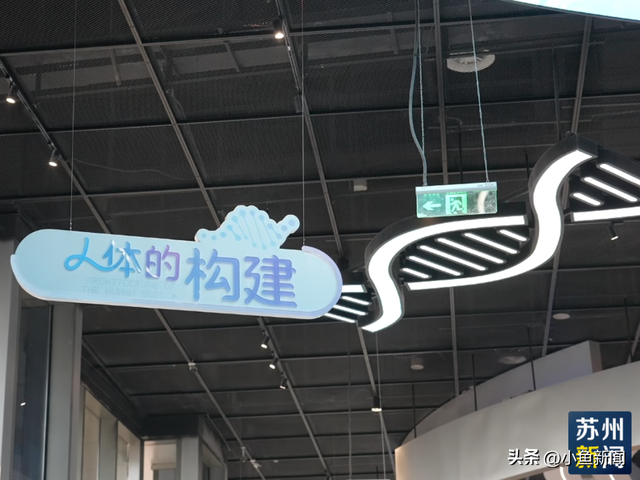 首次公开！苏州新地标，即将开启压力测试...